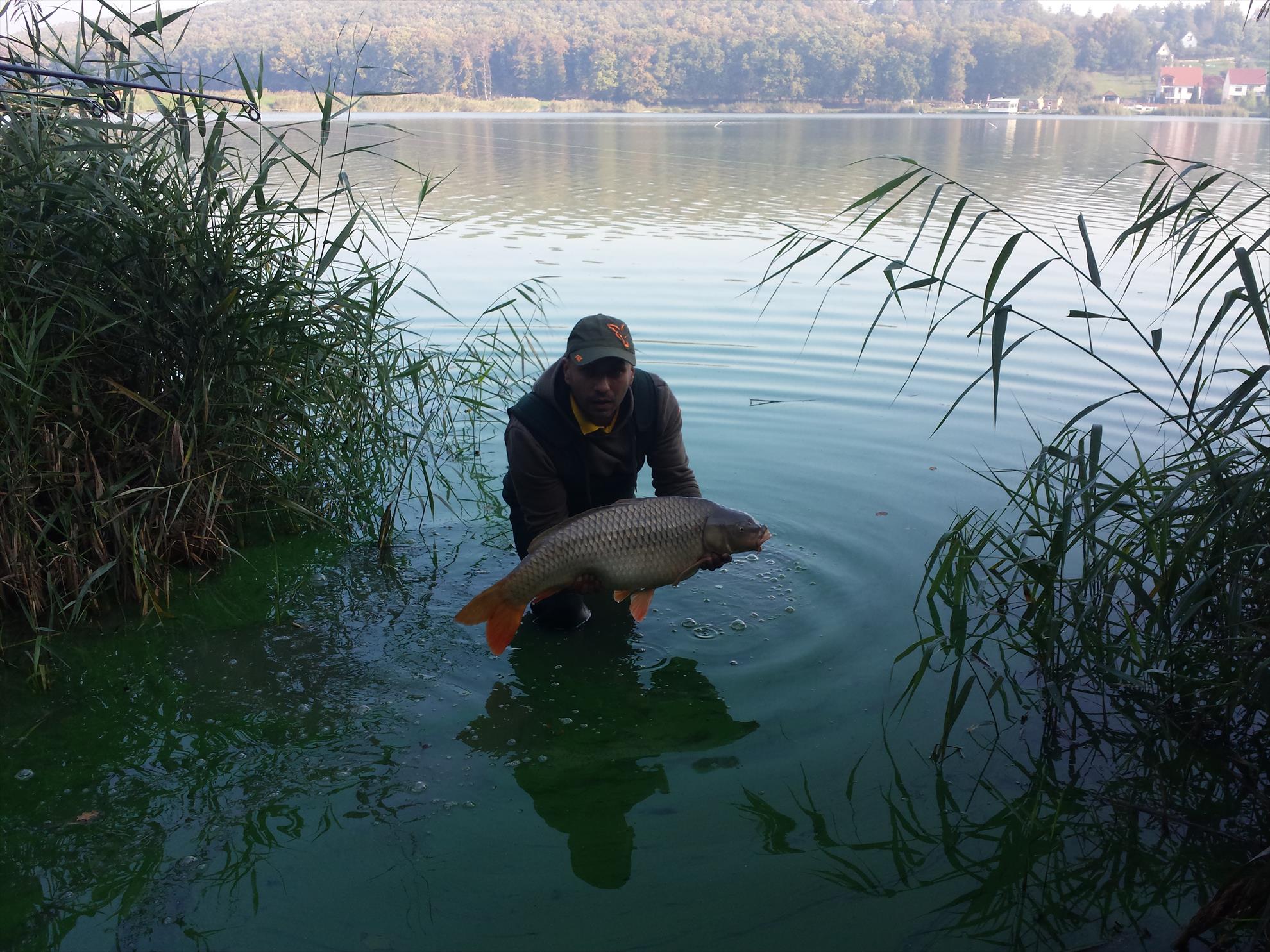 Harsany 2014 - 20141014090350.jpg